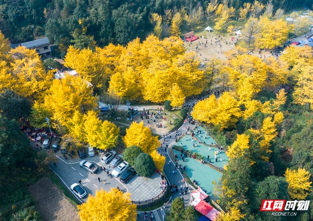 “湘超”夺冠后，永州多个景区免费开放！