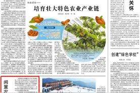 闲置农房变身蘑菇工厂图片