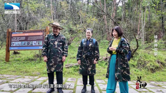 《是这个理》：缘来神农架