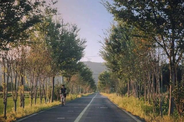 假期收尾！来余杭向上登高，向前骑行~