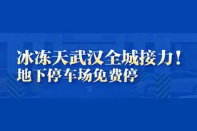 3分钟3连问，武商拍板免费开放万余车位图片