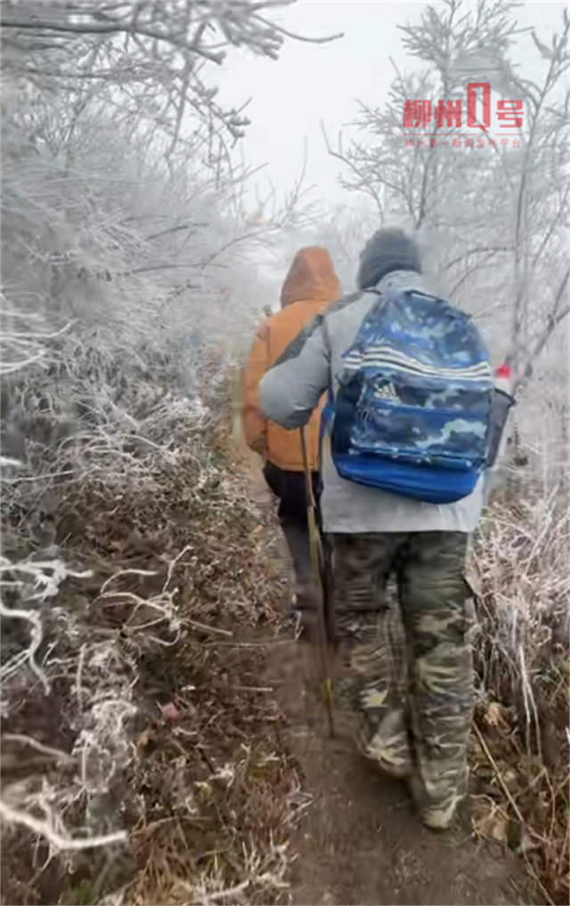 冷冷冷！柳州一森林公园降雪了！不少网友爬山打卡！最新提醒→