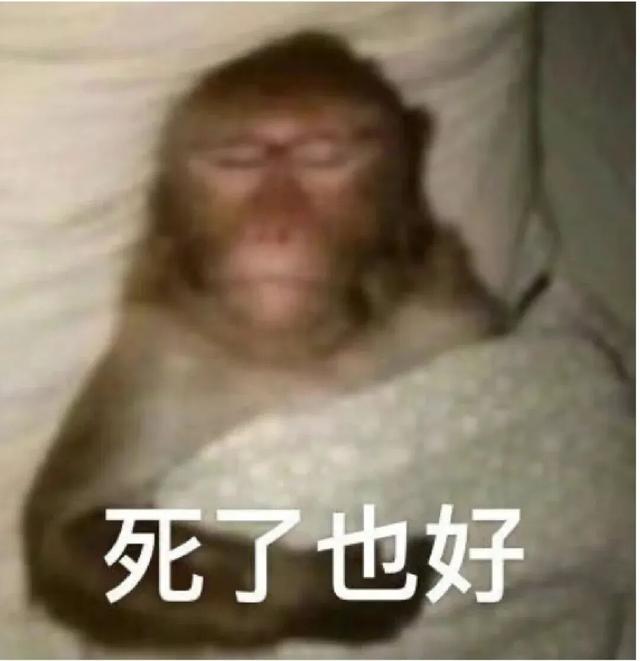 精致白领回老家，如何赢过村里王姨