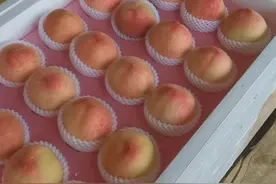 桃子大量上市，你最爱哪一种？图片