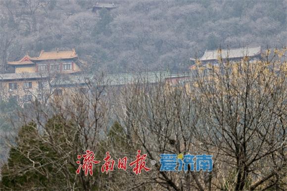 一年四季 泉在济南丨冬日千佛山：山寺凉亭入画来