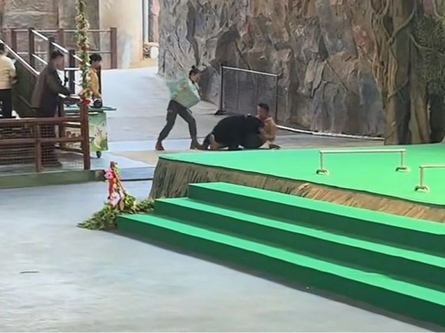 杭州野生动物世界致歉，取消黑熊表演