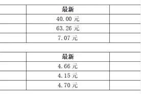 黄茅海跨海通道正式通车；港穗跨境直升机商业服务即将开通丨大湾区财经早参图片