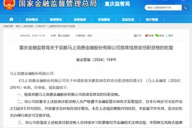 马上消费金融公司新任CIO吴鹏任职资格获批图片