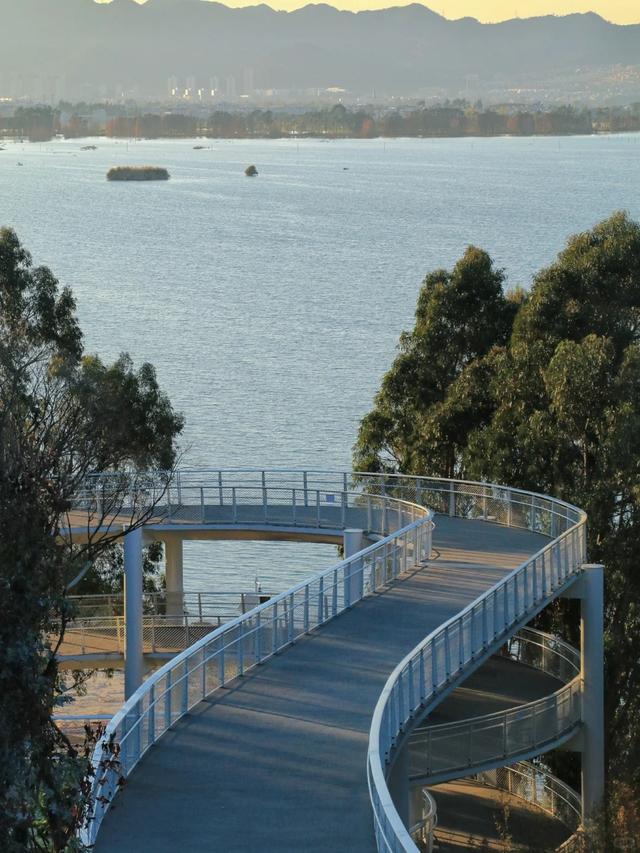 滇池南岸，你一定要去看看的地方！比如沙滩、湿地、稻田还有咖啡……
