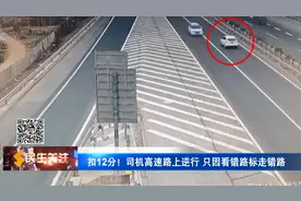 扣12分！司机高速路上逆行 只因看错路标走错路图片