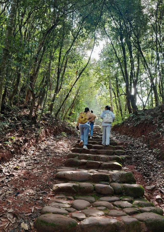 欢迎加入“马帮队伍”！一起重走普洱茶马古道