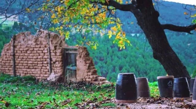 初冬高饱和度美景，还得看洛阳！