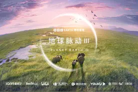 纪录片《地球脉动3》上线，讲述大自然的韧性与适应能力图片