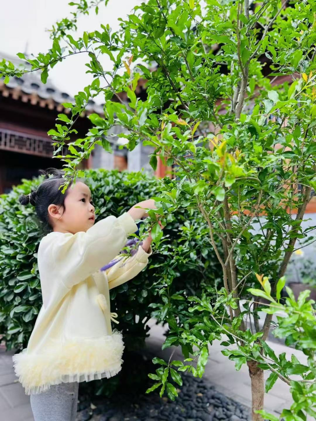 躲进前门四合院，玩转京味夏日！ 漫心府暑期潮玩指南