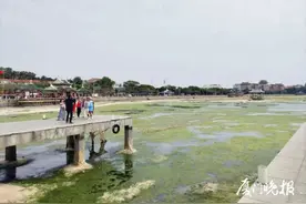 厦门集美龙舟池干了？相关部门紧急回应图片