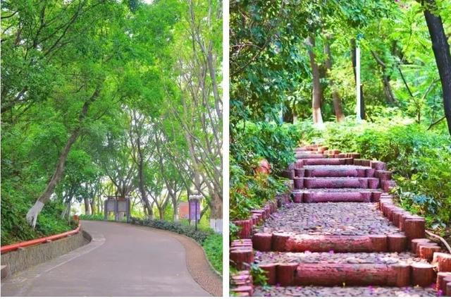 重阳登高好去处，顺德这些打卡点让你尽揽秋色！