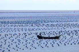 2024年我国海洋经济总量首次突破10万亿元，邮轮母港客流量比上年增长10倍图片