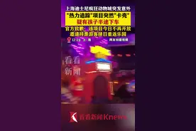 上海迪士尼疯狂动物城突发意外项目停运 官方致歉图片