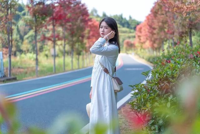 如画江西 ，“枫”景独好！