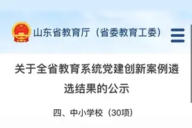 省级荣誉！岳峰小学入选山东省教育系统党建创新案例名单图片
