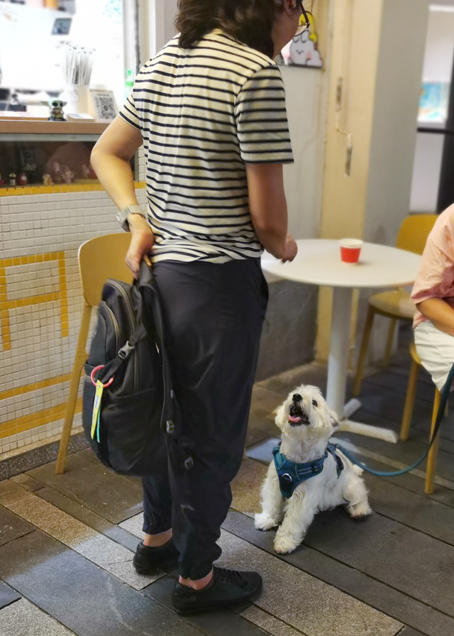 长宁这里上榜上海首批“夜生活好去处”！你去打卡了吗？