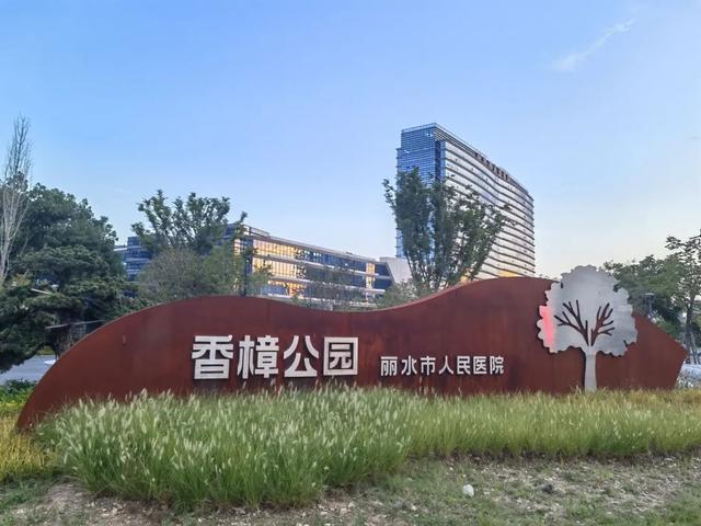 在百年香樟树下，邂逅一场莲都秋日浪漫