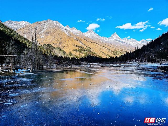 听，雪落下的声音！这里是四姑娘山的冬天