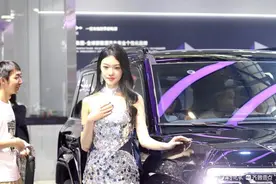 悦驾乐拍|周末的齐鲁国际车展，人潮涌动精彩纷呈图片