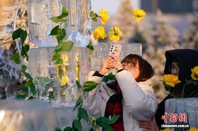 黑龙江哈尔滨：“冰封玫瑰”限定回归