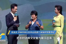 村村有好戏丨高淑贞：三涧溪村着力打造新经济、新业态 将农村文化魅力转变成生产力图片