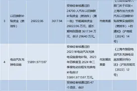 本市2024年第七批节能减排专项资金和超长期特别国债安排计划发布图片