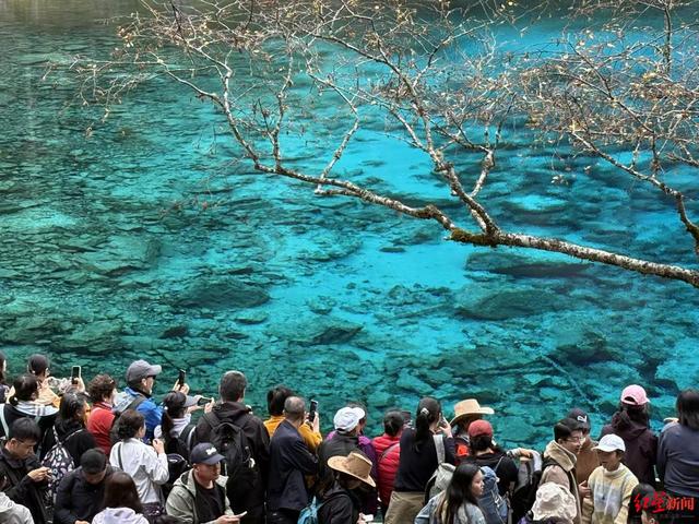 文旅市场喜获多个金秋“丰收”好消息