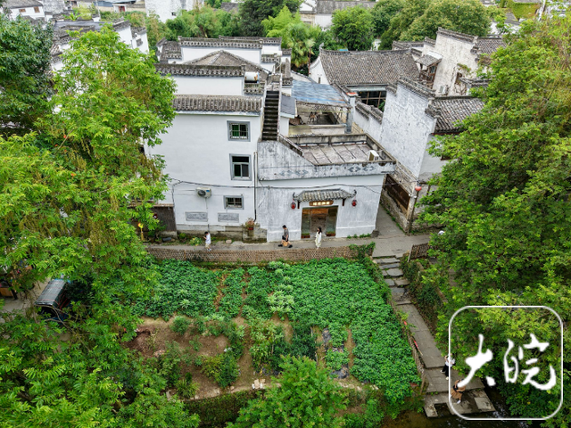 立秋暑热未消 皖南古村觅清凉
