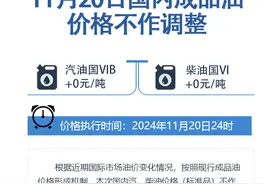 11月20日国内成品油价格不作调整图片