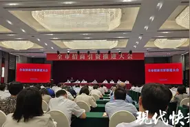 南京召开全市招商引资推进大会，招商新政亮相图片