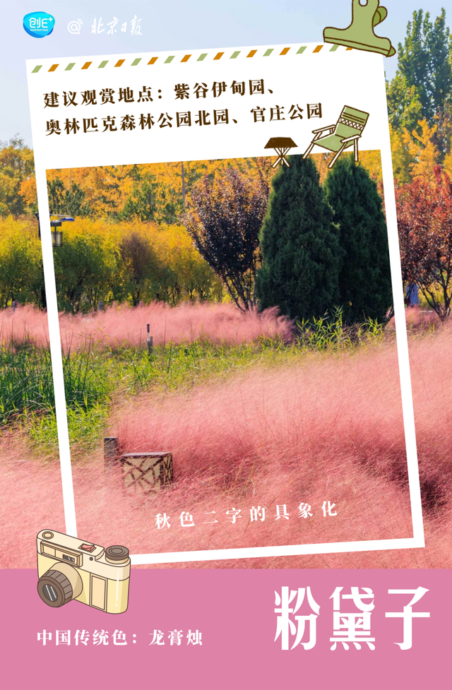 不只有红叶，北京的秋色能有多惊艳