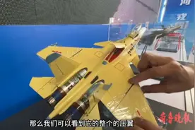 果然视频｜宁夏展区带来鲜切羊肉！现煮现吃，阵阵飘香图片