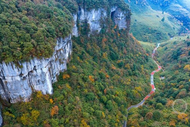 冬染金佛山 彩林美如画