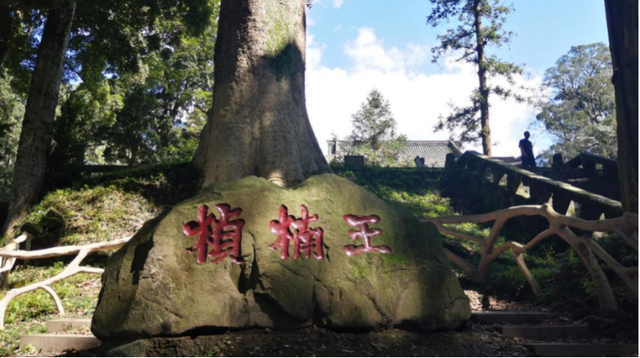 云峰山“中国最美桢楠林”引领雅安荥经生态文旅振兴路