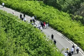 复兴区农文体旅融合发展活动即将启动图片