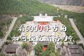 秒懂黄帝陵丨看5000年古柏如何焕发新活力？图片