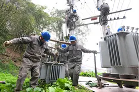 春耕用电满格护航 暖心服务情暖乡村图片