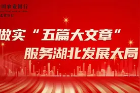 五篇大文章④丨农行湖北省分行：从“养老”到“享老”，以金融之力传递岁月长情图片