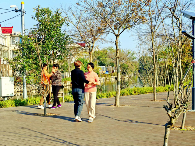 参与古镇联合申遗背后，上海新场镇的“治河”之路