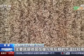 卫星遥感数据+智能 土壤养分也有了“户型图”图片