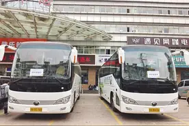 什川古梨园旅游直通车 带你直达曲径通幽处图片