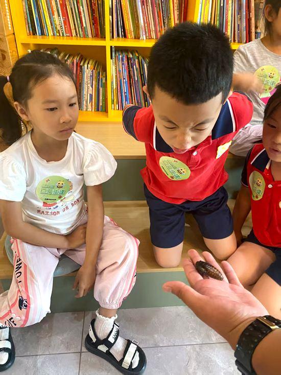 长春百草园“蜜蜂部落与昆虫王国探秘之旅”活动精彩启幕，解锁自然研学新玩法