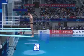 今日最后两个单项 一分钟看懂跳水世界杯新赛制图片