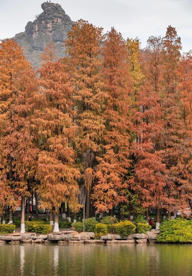 来桂林跑马怎么跟着赛道玩？看这个就够了～在山水画卷中奔跑，解锁 “甲天下” 的独特赛道！