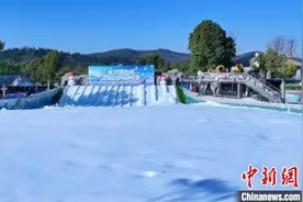 台企扎根南京江宁深耕发展逐春光图片